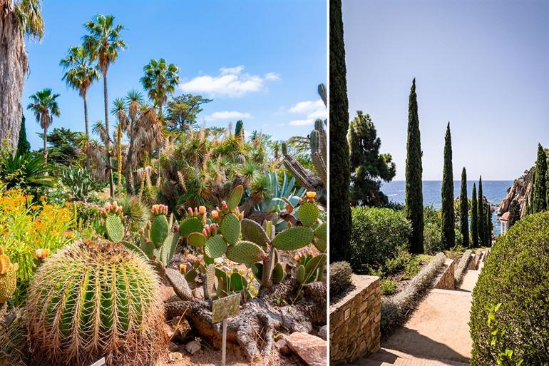 Botanische tuin Marimurta bezoeken aan de Costa Brava