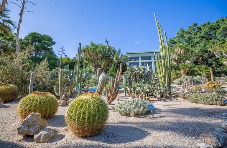 Botanische Tuinen, Cagliari