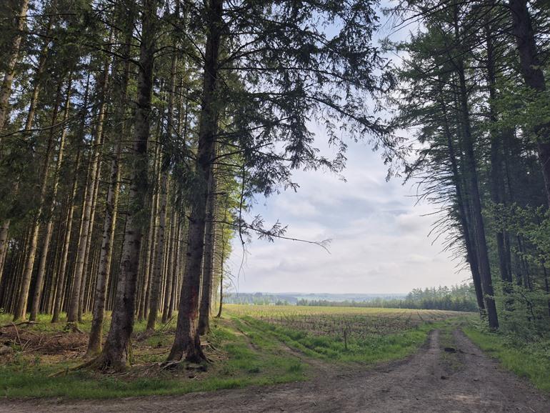 Bouillon, op de laatste etappe van de Transardennaise