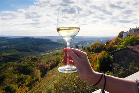 Brda wijnstreek in Slovenië bezoeken