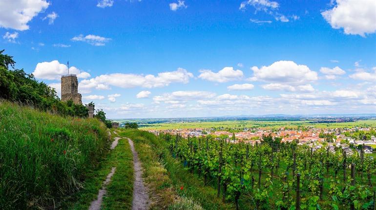 Burgruïne Wachtenburg bezoeken, Rijnland-Palts