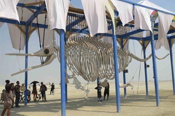 Burning Man Festival