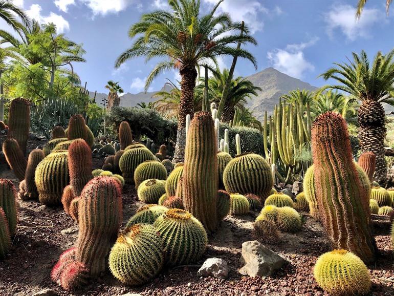 Cactualdea Park, Gran Canaria