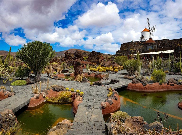 Cactustuin in Guatiza, Lanzarote