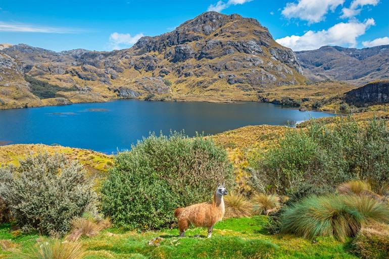Cajas Nationaal park