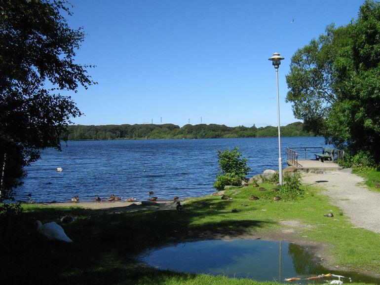 Camping Mosvangen boeken