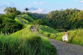 Campuhan Ridge Walk Bali