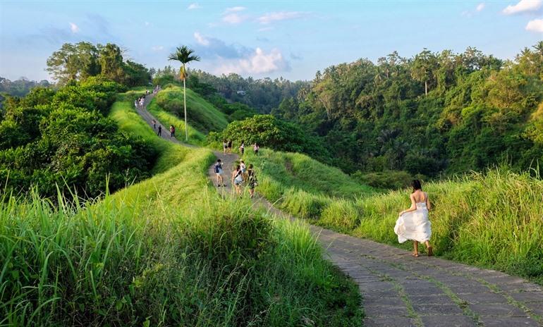 Campuhan Ridge Walk Bali