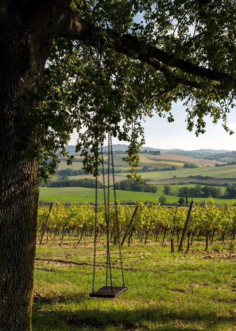 Castellina in Chianti wijngaarden