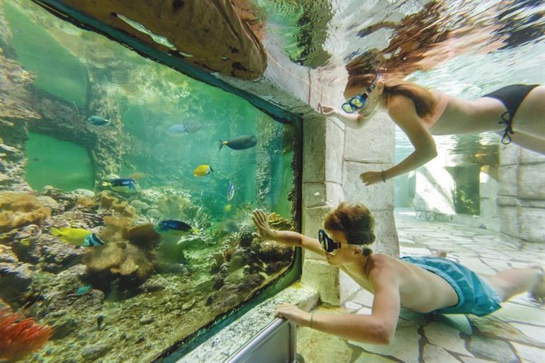 Center Parcs het Heijderbos boeken