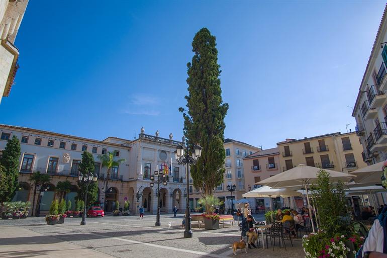 Centraal plein van Gandia met het stadhuis