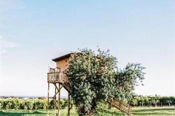 Conversas de Alpendre boeken