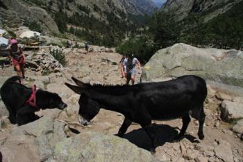 Corsica Natuur