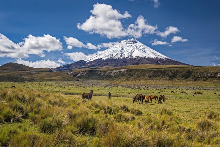 Cotopaxi in Ecuador