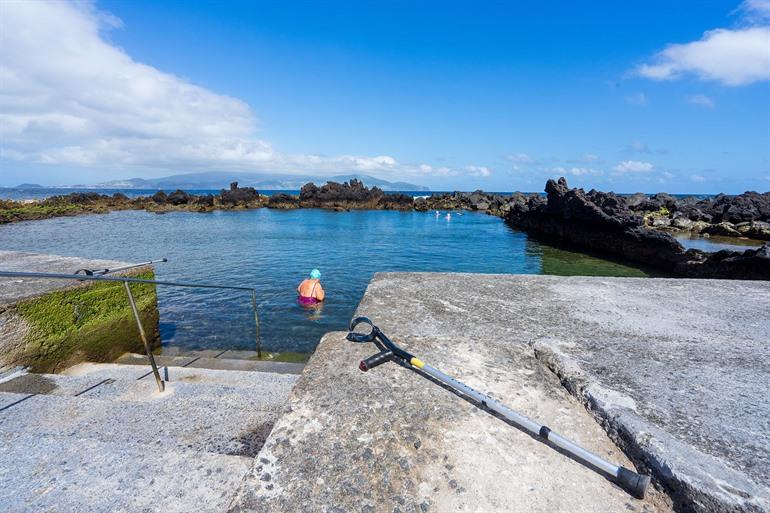 Criação Velha op Pico