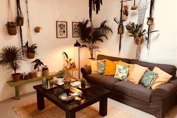 Cuarto Botánico boeken