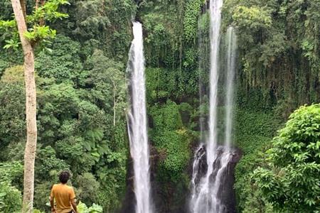 Dagtour langs de rijstterrassen en bezoek aan de Sekumpul en Banyumala watervallen