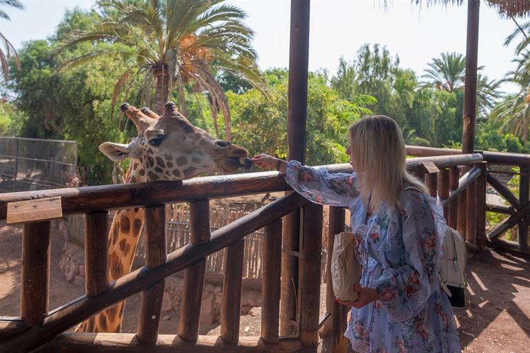 Daguitstap naar het La Lajita Oasis Park, Fuerteventura