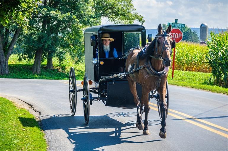 Daguitstap naar Philadelphia en bezoek de Amish