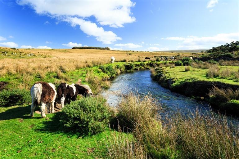 Dartmoor National Park