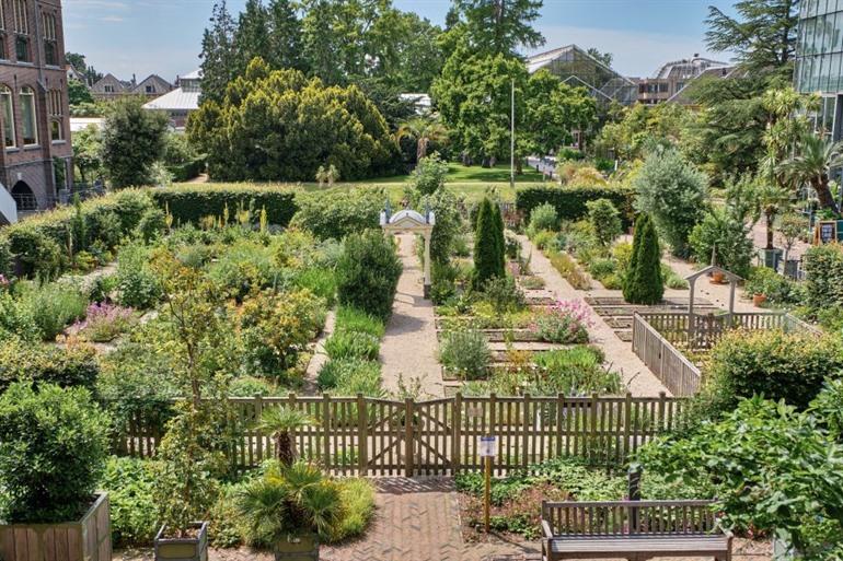 De Clusiustuin in de Hortus Botanicus Leiden