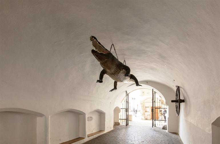 De Draak van Brno, Tsjechië