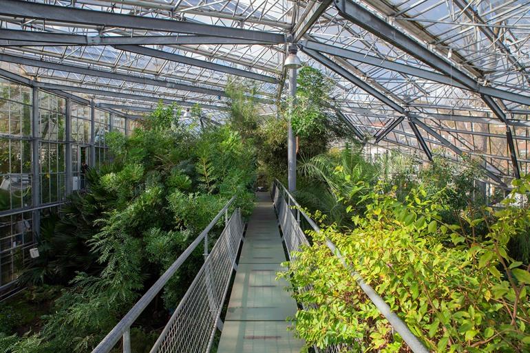 De Drieklimatenkas, Hortus Botanicus Amsterdam