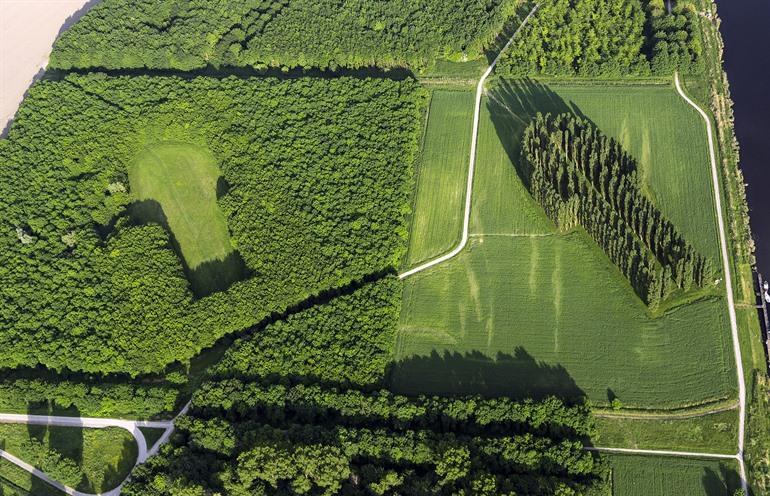 De Groene Kathedraal, Land Art in Flevoland
