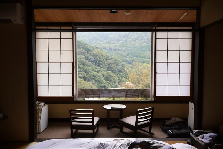 De groene omgeving in Hakone