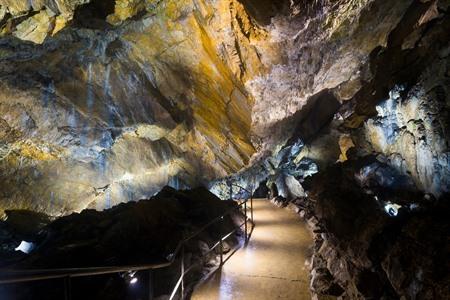 Grotten van Han en het Wildpark bezoeken? Tickets, info + tips