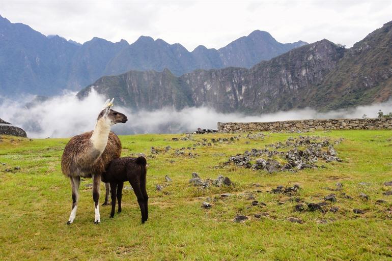 De heilige vallei ten noorden van Cuzco