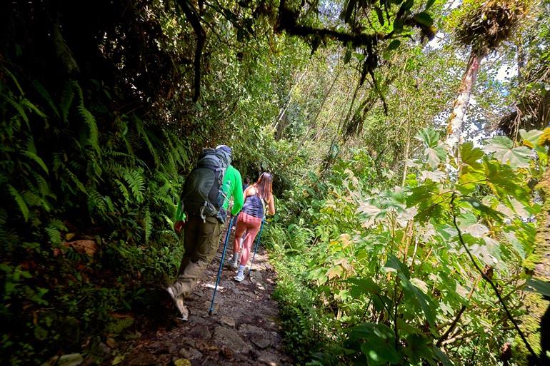 De Inca Trail loopt door de nevelwouden