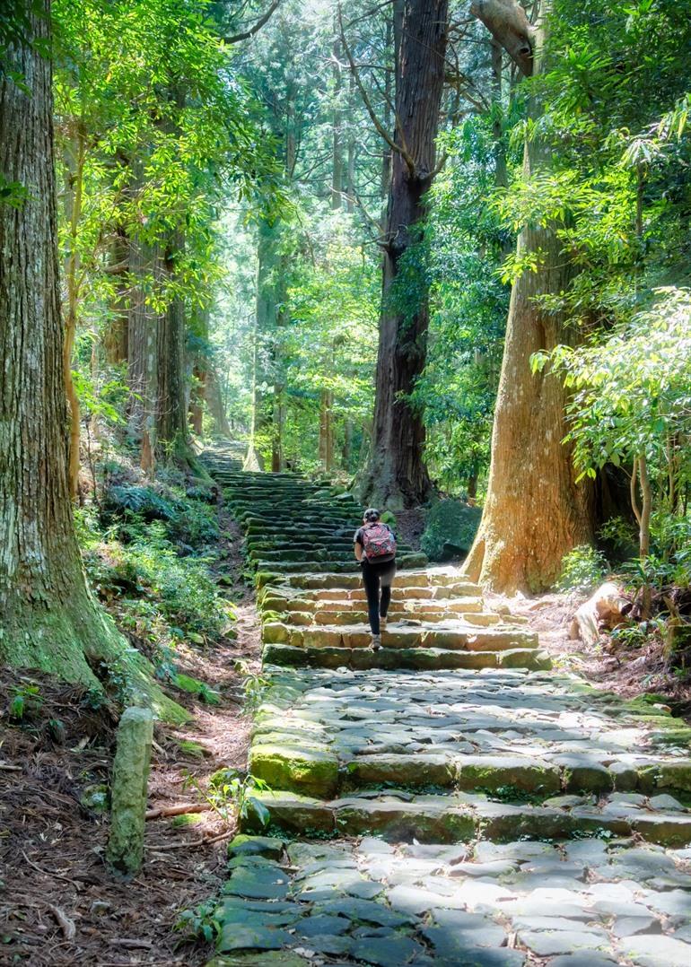 de Kumano Kodo-route in het nationaal park