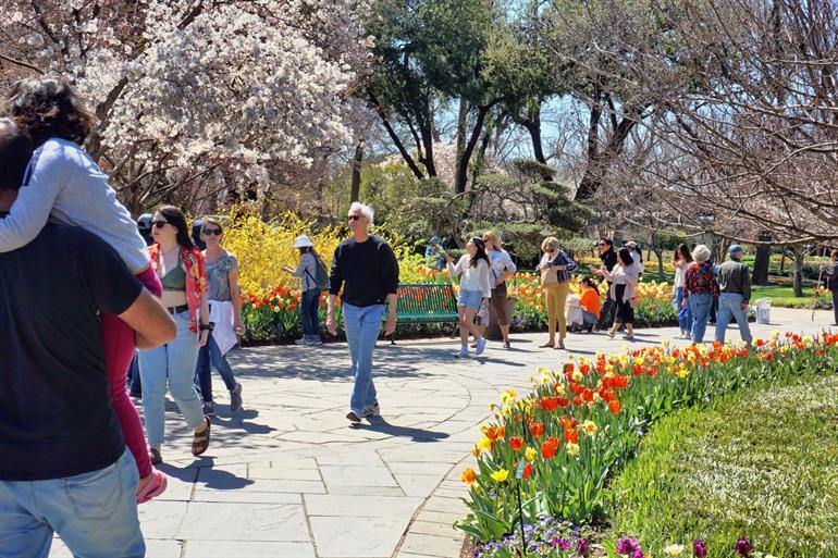 De lente in Dallas Arboretum & Botanical Garden