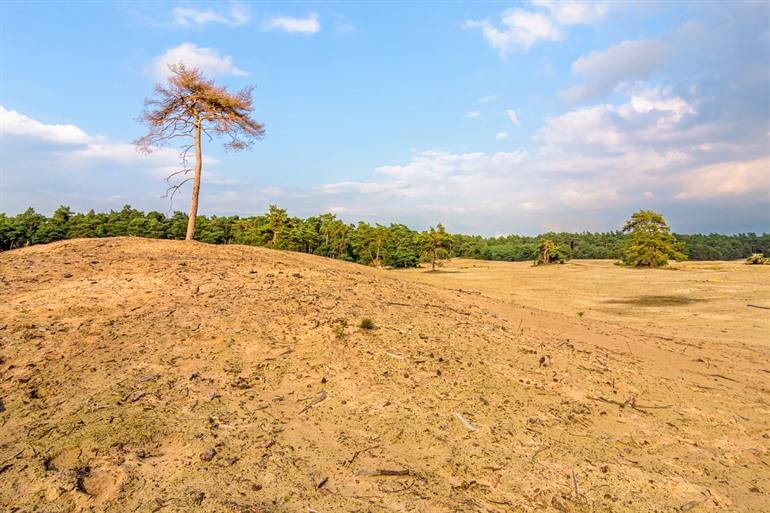 De Sahara in Ommen