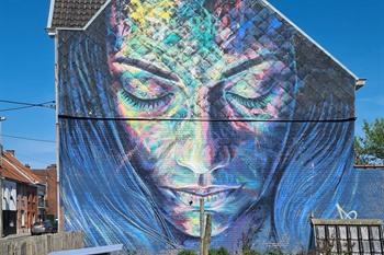 De Slapende vrouw - David Walker in Roeselare