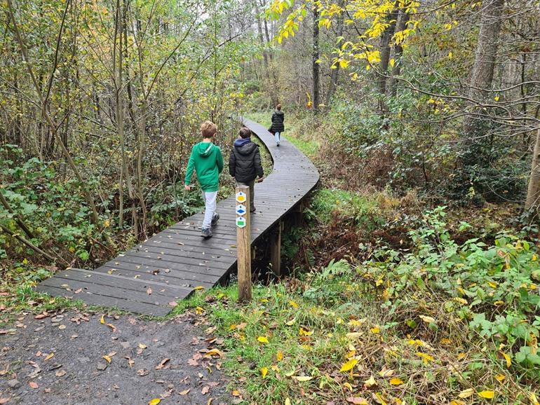 De Stiemerbeekvallei
