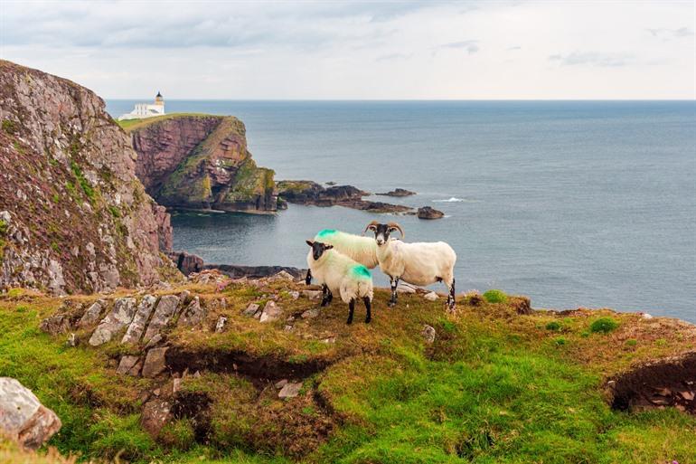 De vuurtoren van Stoer langs de NC500
