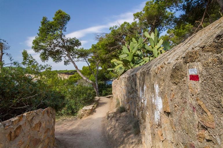 De weg van de Camino de Ronda