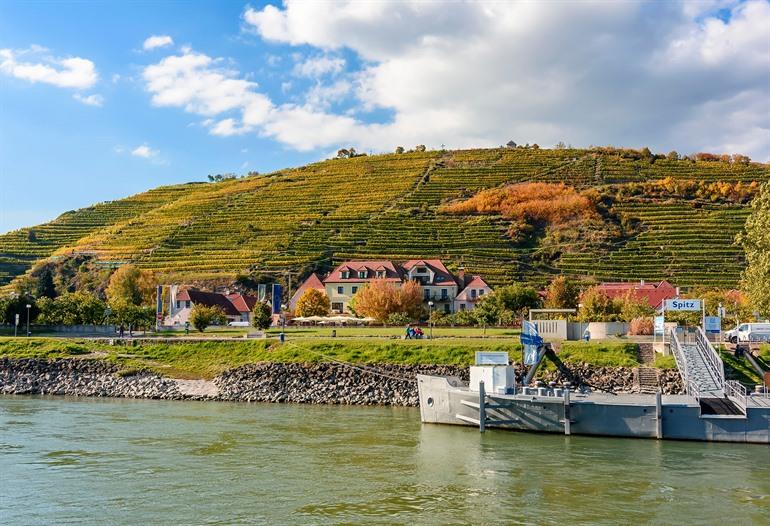 De wijngaarden van Spitz, Wachau