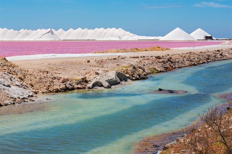 De zoutpannen van Bonaire