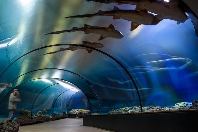 Dierentuin Diergaarde Blijdorp Rotterdam