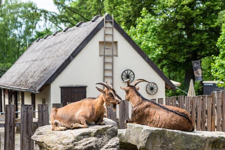 Dierentuin van Bochum