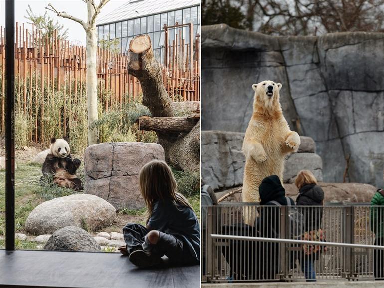Dierentuin van Kopenhagen, Denemarken