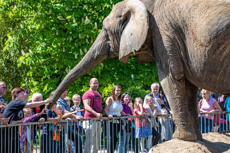 Dierentuin van Maagdenburg bezoeken