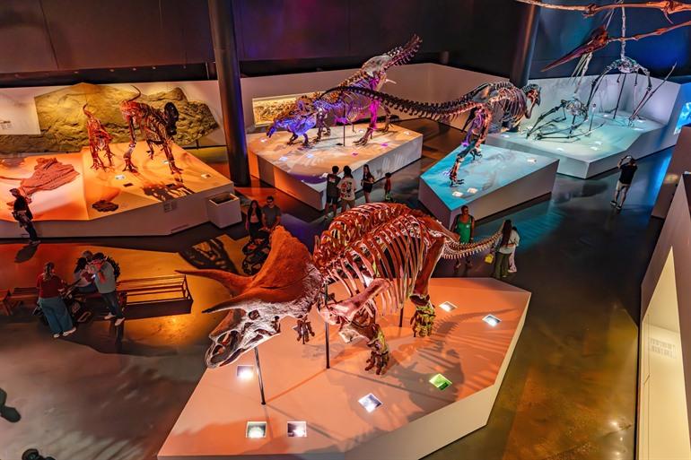 Dinosaurusskeletten in het Houston Museum of Natural Science