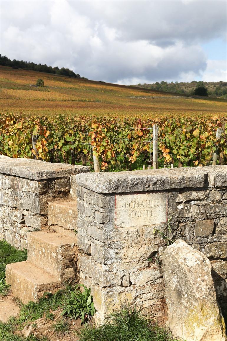 Domaine de la Romanée-Conti bij Vosne-Romanée