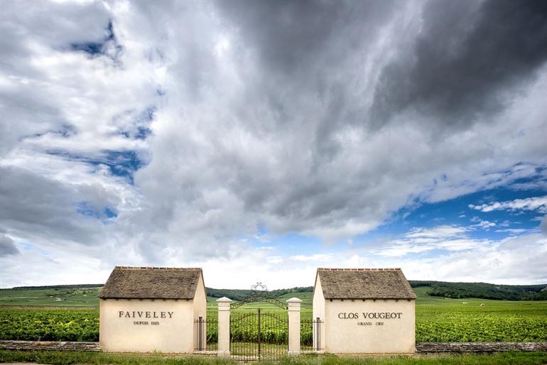Domaine Faiveley, Bourgogne