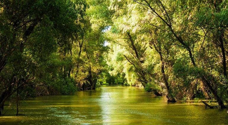 Donaudelta 