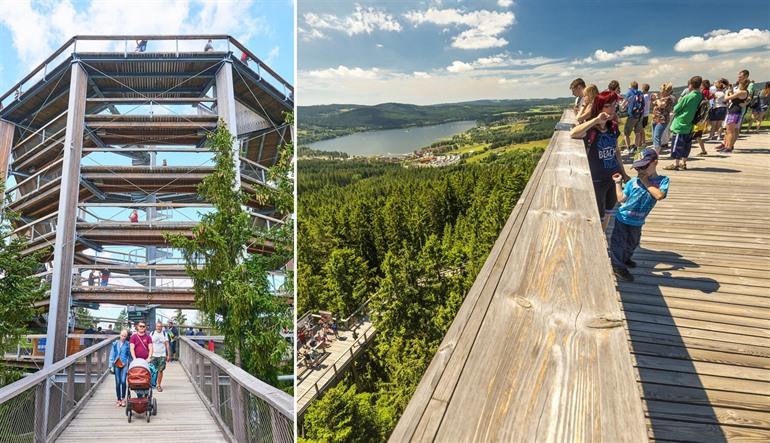Door de bomen wandelen in Lipno